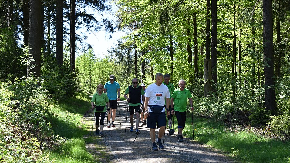 Nordic Walking Gruppe